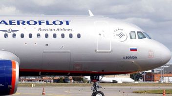 Inggris Keluarkan Larangan Terbang Bagi Jet Pribadi yang Berkaitan dengan Oligarki Rusia