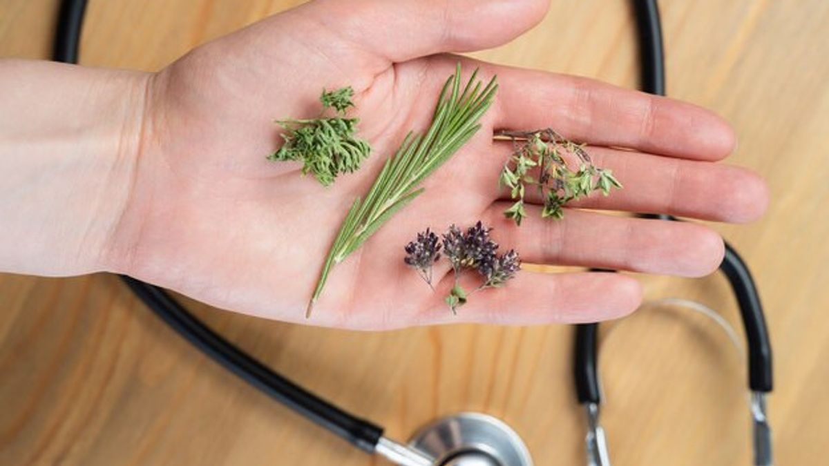 8 Herbal Materials That According To Research Help Reduce Pain