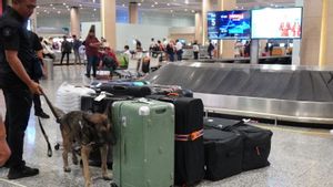 BNN Bali Perketat Pengawasan Narkoba Jaringan Internasional di Bandara