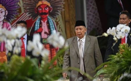 Ekonom Didik Rachbini: Tidak Ada Penjaga APBN seperti Hamzah Haz