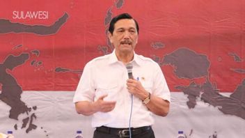 Luhut Minta Pengusaha Investasi Stasiun Charger Kendaraan Listrik di Bali 