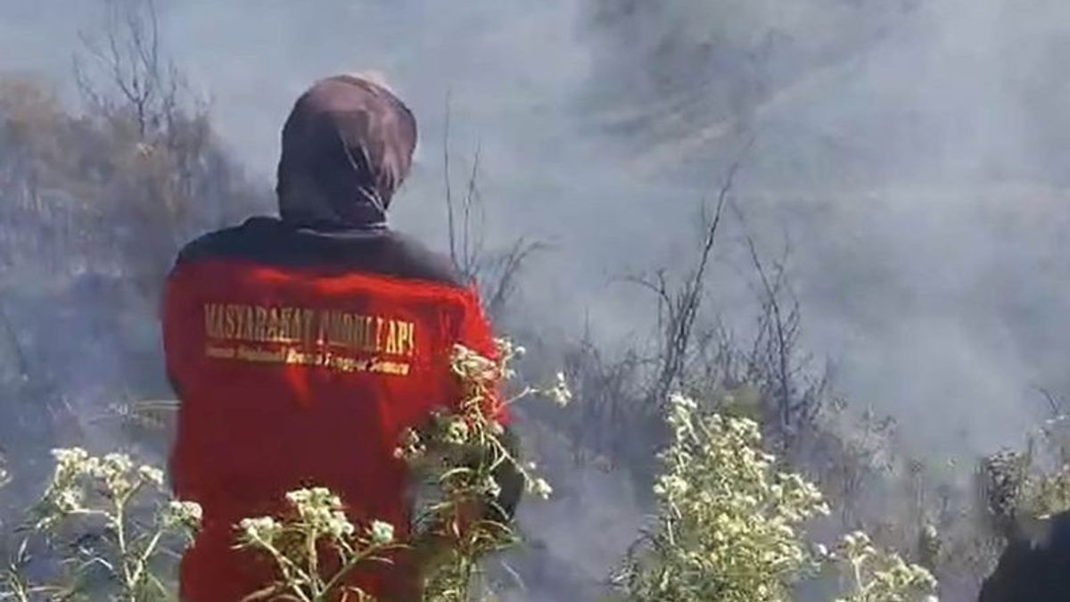 Bromo Tengger Semeru国家公园的森林和陆地火灾已成功扑灭