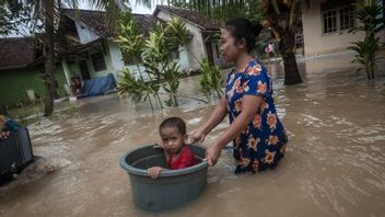 غمرت المياه أكثر من 4 أيام ، وفشل 40 هكتارا من حقول الأرز في Pandeglang Banten في الحصاد 