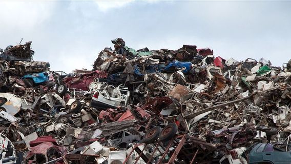 Beberapa Hewan di Indonesia Memang Sengaja Diberi Makan Sampah