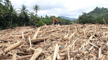 Menteri LH Selidiki Sumber Kayu Gelondongan, Janji Proses Hukum Pelanggaran