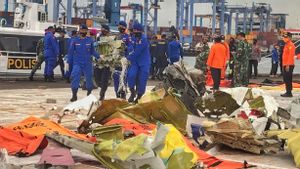 Pencarian Sriwijaya Air SJ-182 Hari Ini: 98 Kantong <i>Body Part</i> Korban dan 14 Potongan Pesawat