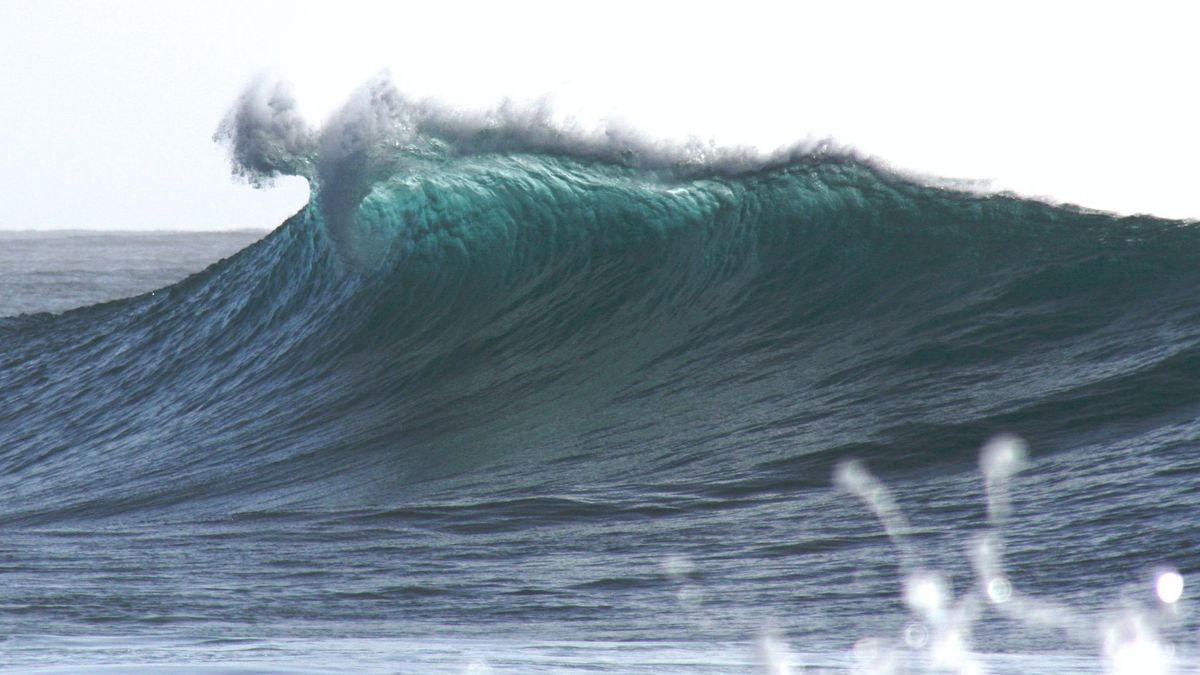 ロングアイランドの海岸に波に運ばれた謎の男の体があります。