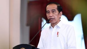 Kontroversi Jokowi soal Bipang Ambawang, Siapa yang Salah?