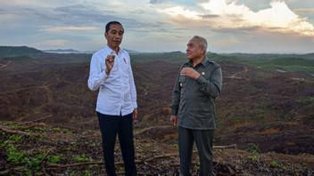 Les Experts En Planification « Avertissent » Jokowi : Les Nouvelles Capitales Doivent Respecter Les Normes De Développement 