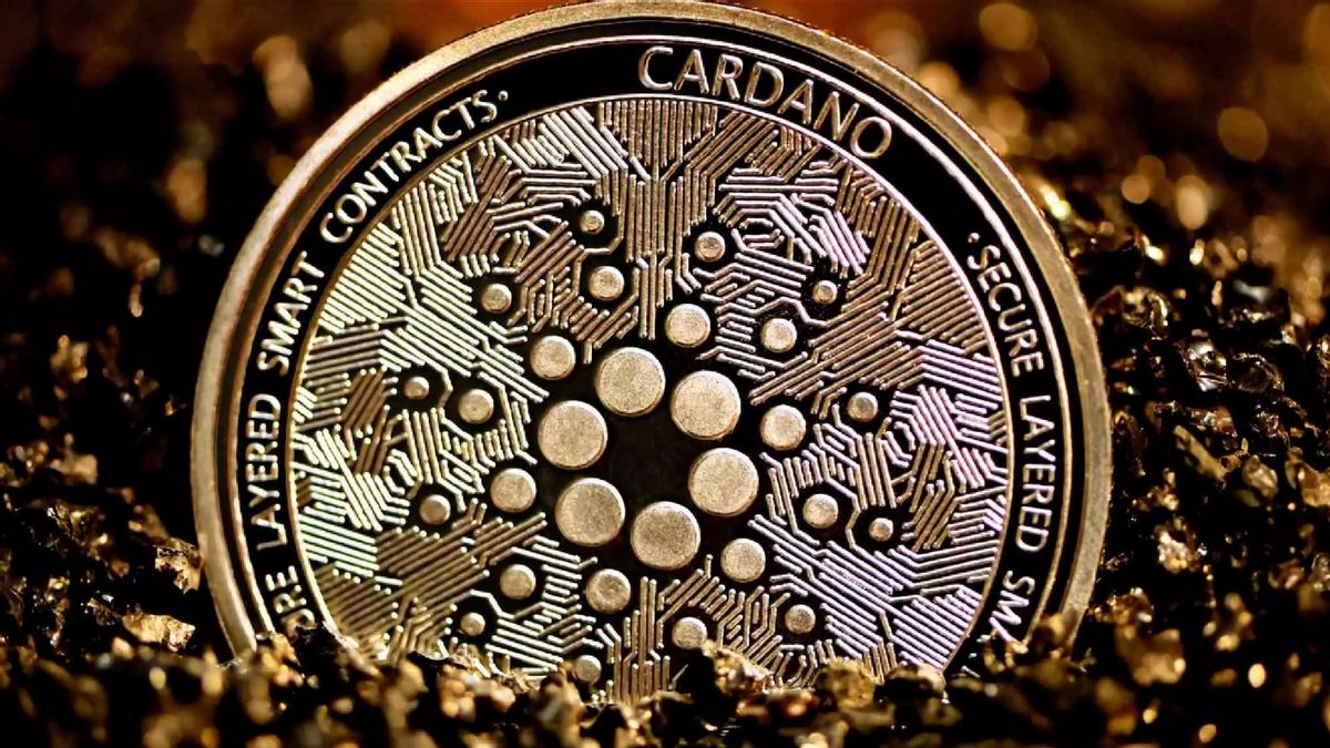 Cardano Gets Upgrade, Here's What You Should Know!