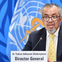 WHO: Tak Ada Laporan Kematian Baru Wabah Hantavirus Sejak 2 Mei