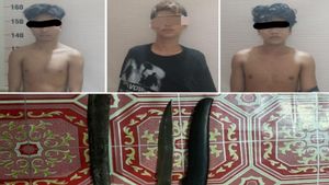 3 Anggota Gangster Pasber Keroyok Remaja di Kalsel Diringkus, Polisi Buka Kemungkinan Pelaku Lain