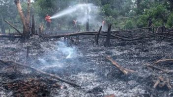 BMKG Minta Masyarakat Waspada, 25 Titik Kebakaran Terdeteksi di Kaltim