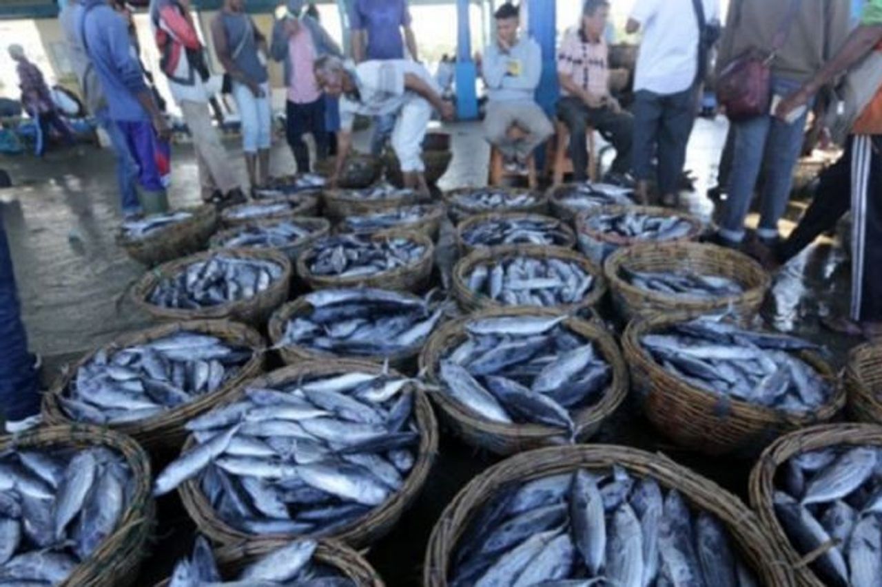 Les parties prenantes du KKP soutiennent le développement des secteurs marins et de la pêche