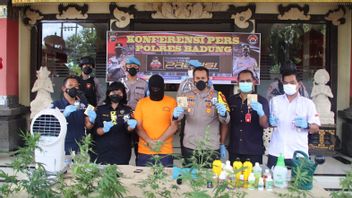 Spanish Caucasians In Bali Who Planted 19 Cannabis Trees In Bathroom Arrested By Police