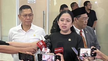 Puan Tegaskan Jawa Tengah Masih Jadi Kandang Banteng Meski Andika-Hendar Kalah di Pilkada Jateng