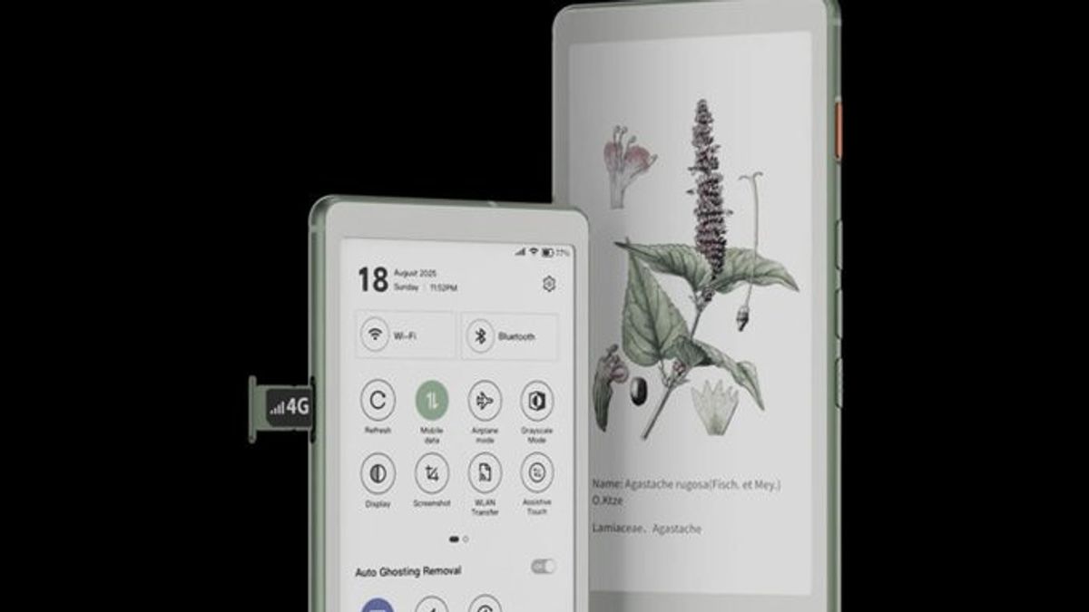 Android 16 e-Readerがカラーバージョンで登場