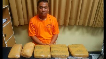  Polda Bali Tangkap Kurir Ganja 5 Kilogram, Pelaku Mengaku Dikendalikan Napi Lapas Kerobokan