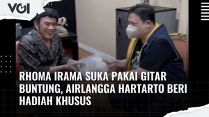 VIDEO: Rhoma Irama Suka Pakai Gitar Buntung, Airlangga Hartarto Beri Hadiah Khusus