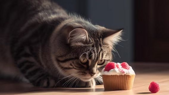 Apakah Kucing Bisa Merasakan Makanan Manis dan Pedas? Begini Menurut Pakar