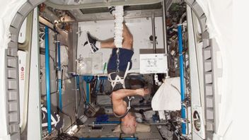 宇宙宇宙飛行士も運動しなければならないので、ここにそれが行く方法があります