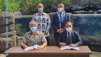 Avant D’être Arrêté Par Le KPK, Le Ministre KKP Edhy S’est Occupe De La Technologie Des Géniteurs De Crevettes à Hawaï
