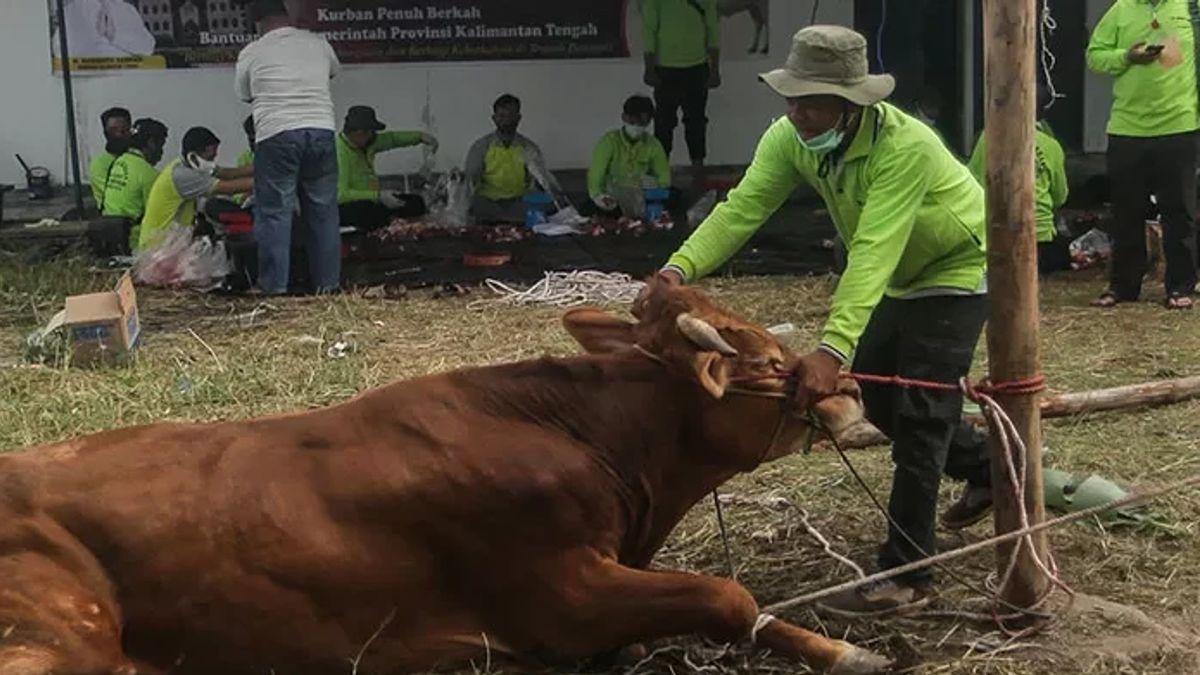 DKI Provincial Government Asks For Sacrificial Animal Waste Not To Be Thrown Into Rivers In Jakarta