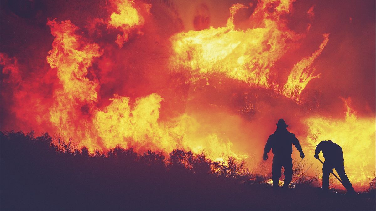 Kementerian LHK: Hampir 99 Persen Kebakaran Hutan Disebabkan Manusia 