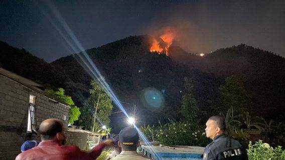 Forest Fires On Mount Telemoyo Successfully Extinguished, TNI-Polri And SAR Still On Guard At The Location