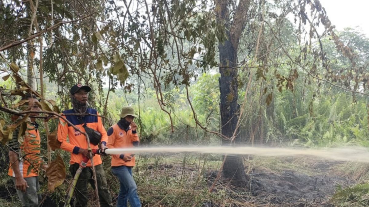 Diduga Sengaja Dibakar, BPBD Kalbar Fokus Lakukan Pemadaman Kebakaran Lahan Sekitar Pemukim