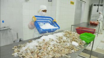 After Frozen Shrimp, FDA Again Finds Radioactive Contamination On RI Spice Products