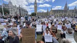 Momen Tunanetra Berkursi Roda Ikut Demo Pro Palestina Tetap Ditangkap Polisi London