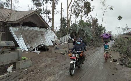 Cuaca dan Tebalnya Lumpur Panas Jadi Kendala Proses Evakuasi Korban Erupsi Semeru