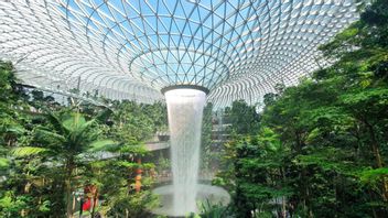 الأنشطة التي يمكنك القيام بها في مطار تشانجي ، هذه هي الخيارات