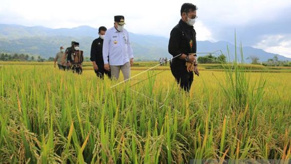 Mentan Jamin Stok Pangan Nasional Aman Jelang Ramadan, untuk Harga Tetap Fluktuatif Tergantung Global