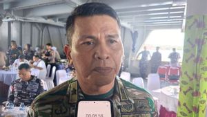 Tiga Prajurit TNI Terluka saat Kontak Tembak dengan KKB di Kiwirok