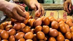 Bapanas Pastikan Ketersediaan Telur Ayam Aman Hingga Lebaran 2026