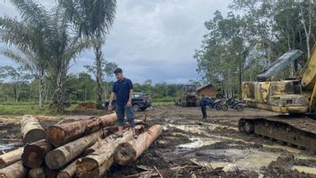 وزارة الغابات 11 كيانا تجاريا يشتبه في تورطهم في التسبب في فيضانات - لونغسرو تابسيل