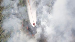 BPBD Sumatera Selatan Padamkan Titik Api di Tujuh Kabupaten Menggunakan Helikopter