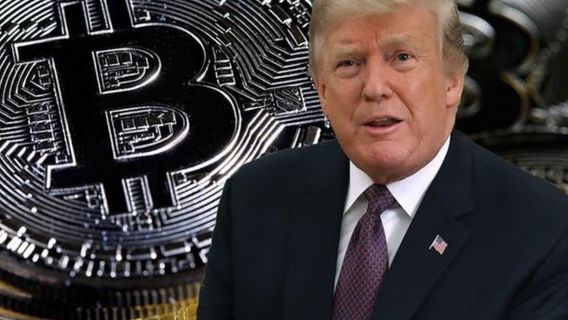 ドナルド・トランプ、NFTの成功でビットコイン支持に転じる