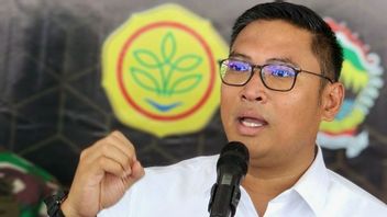 Wamentan Sudaryono Ungkap Penambahan Lahan Sawah di Jateng Lebih dari 100 Ribu Hektare, Terbesar Nasional