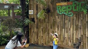    Garis Polisi Dilepas, Bandung Zoo Kembali Dibuka Gratis Bagi Pelajar