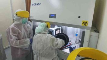 Recalculation Simulation, Bio Farma Believes PCR Test Prices Can Still Be Lowered