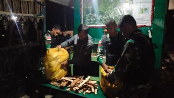 Cendana Wood Smuggling From RDTL To Indonesia Foiled On Intelstrate Catur Information