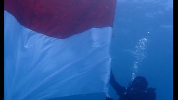77人のダイバーがパンダナン海公園ロンボク島で赤と白の旗を掲げる