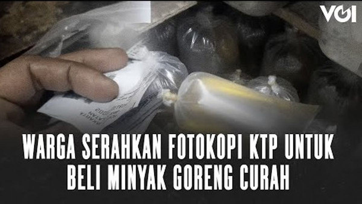 VIDEO: Beli Minyak Goreng Curah Pakai Aplikasi, Ini Kata Pedagang dan Pembeli Minyak Goreng Curah