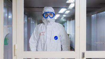 Korea Selatan Laporkan  Lagi Kasus Flu Burung
