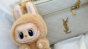 Selalu Viral dan Jadi Favorit, Mengapa Labubu Paling Banyak Dicari?