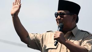 Prabowo Hadiri Rapat DPR yang Digelar Tertutup: Membahas Anggaran Kemenhan