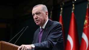 Presiden Erdogan Ingin Turki Jadi Tuan Rumah Pertemuan Trump-Putin-Zelensky